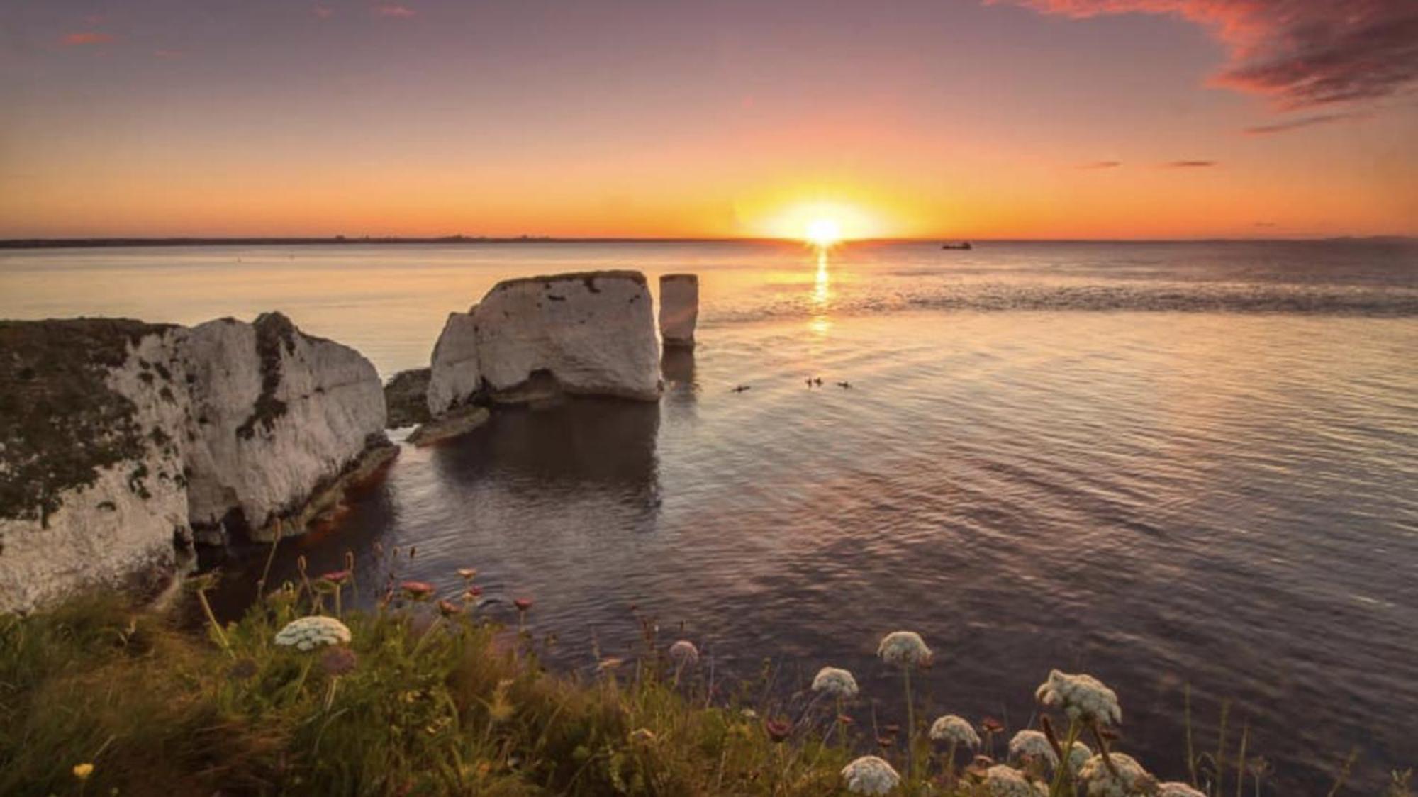 Arbour House B&B Swanage Buitenkant foto