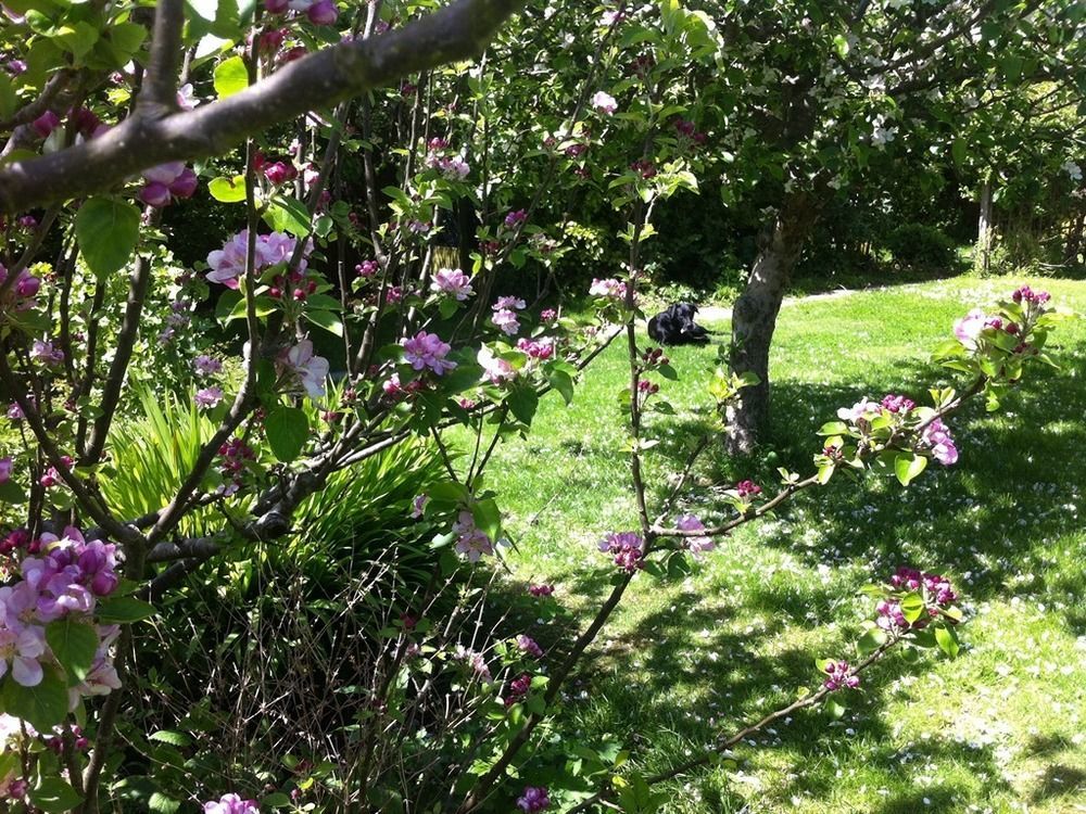 Arbour House B&B Swanage Buitenkant foto